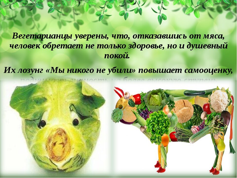 фото источник 9.kumin.za.com