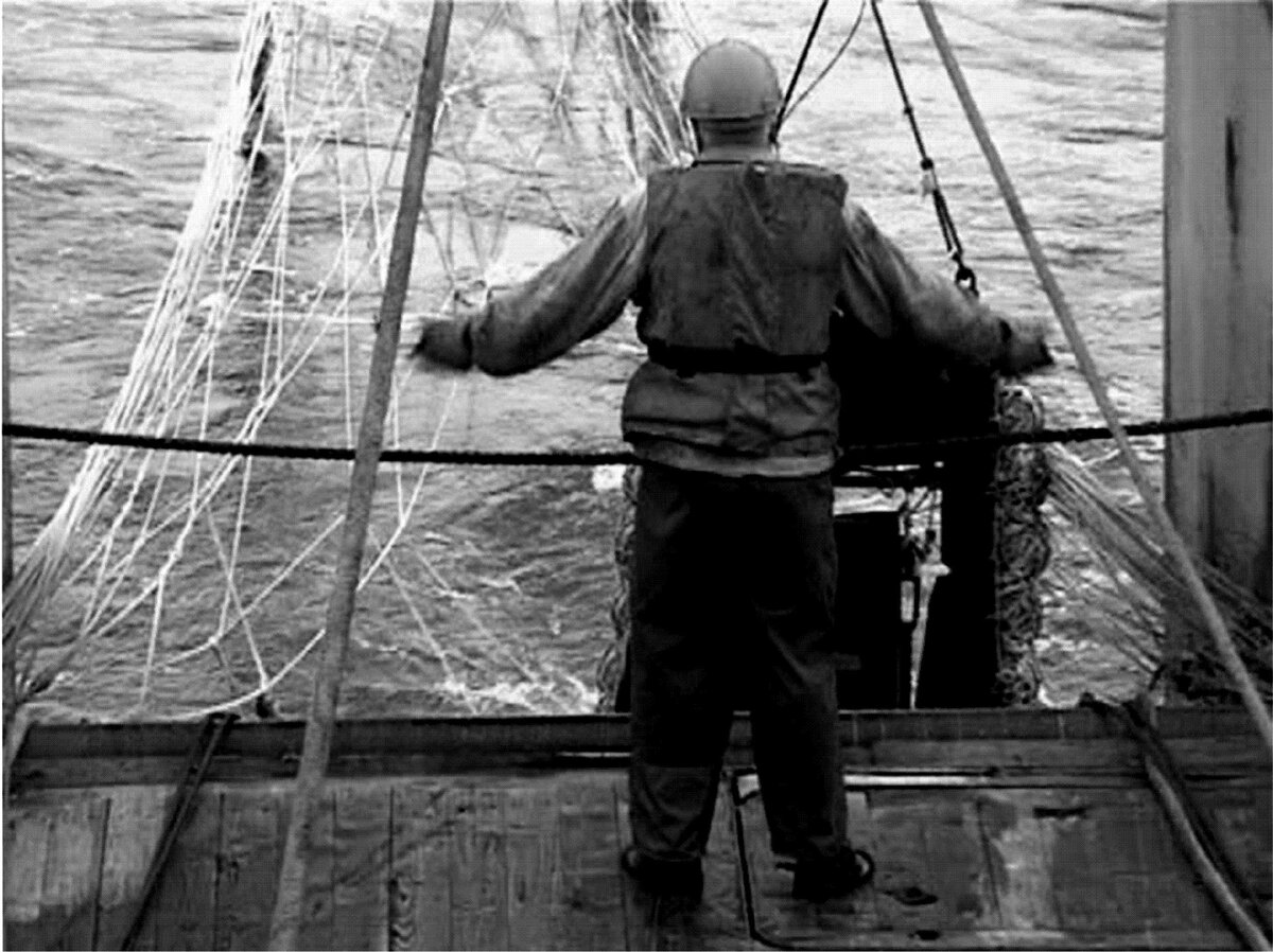 Почему не следует помогать рыболову в Америке и сколько это может стоить