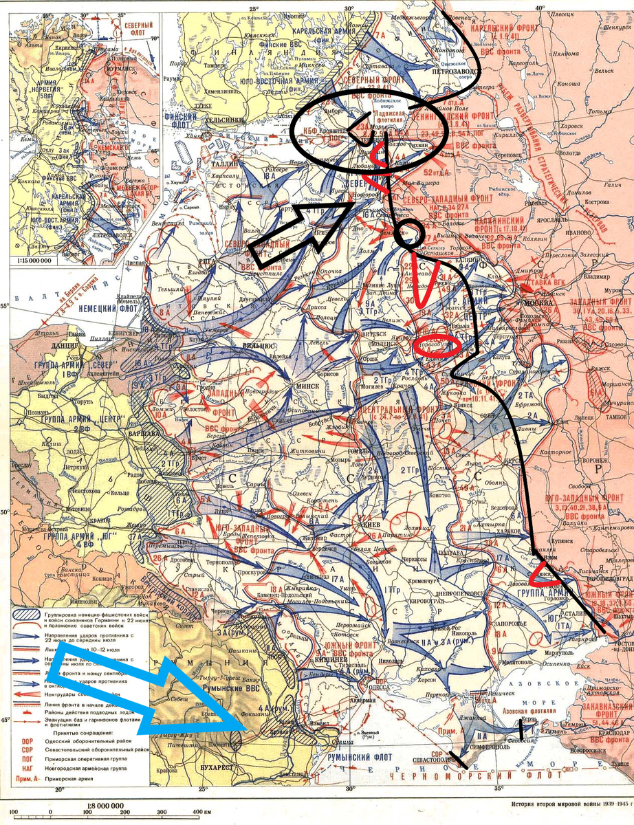 (Фото взято из открытых источников).