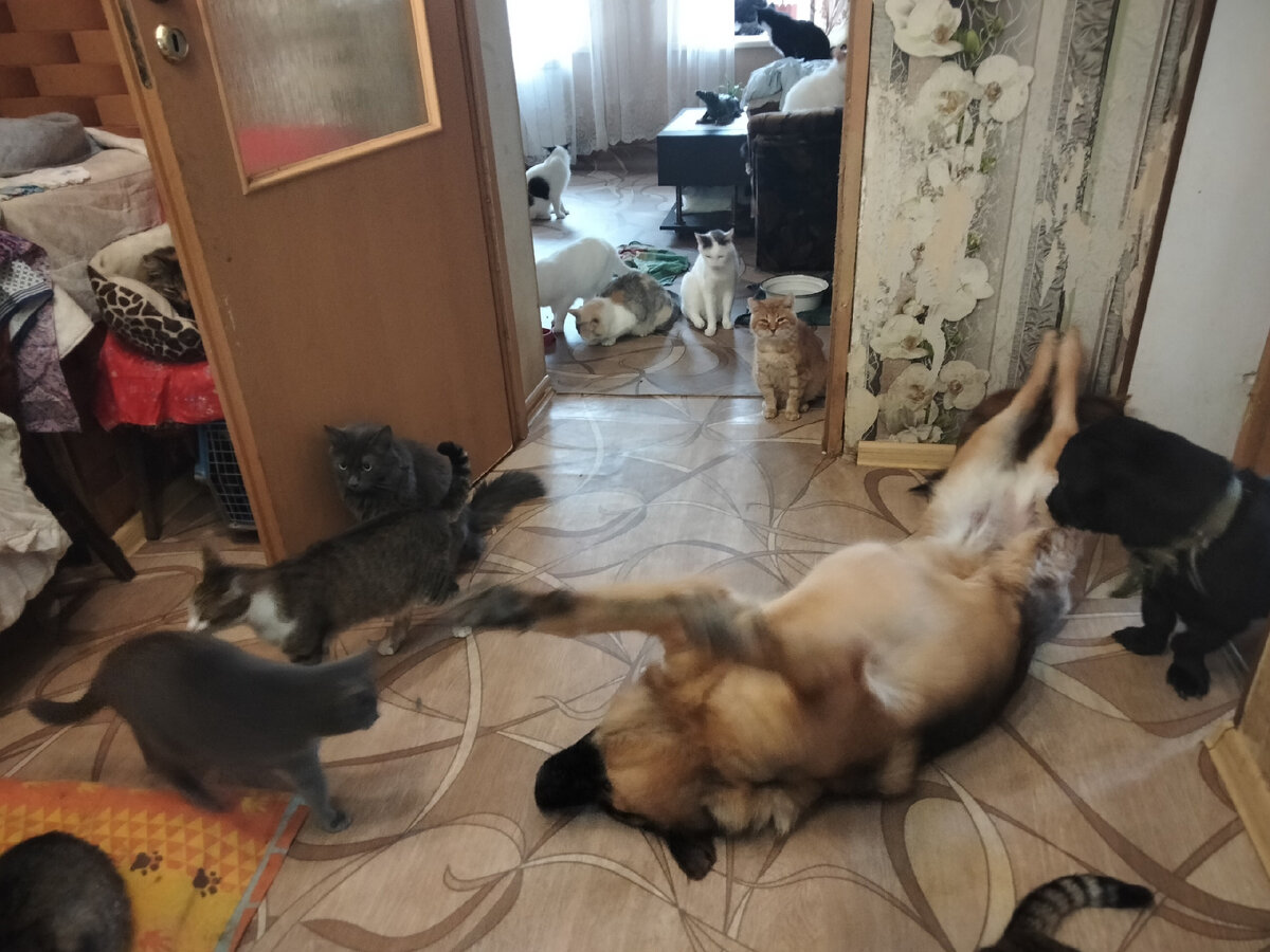 -2