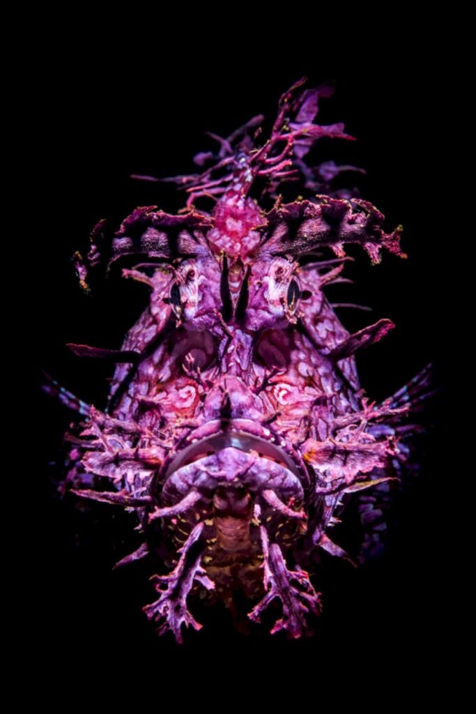     Фото: Tobias Friedrich