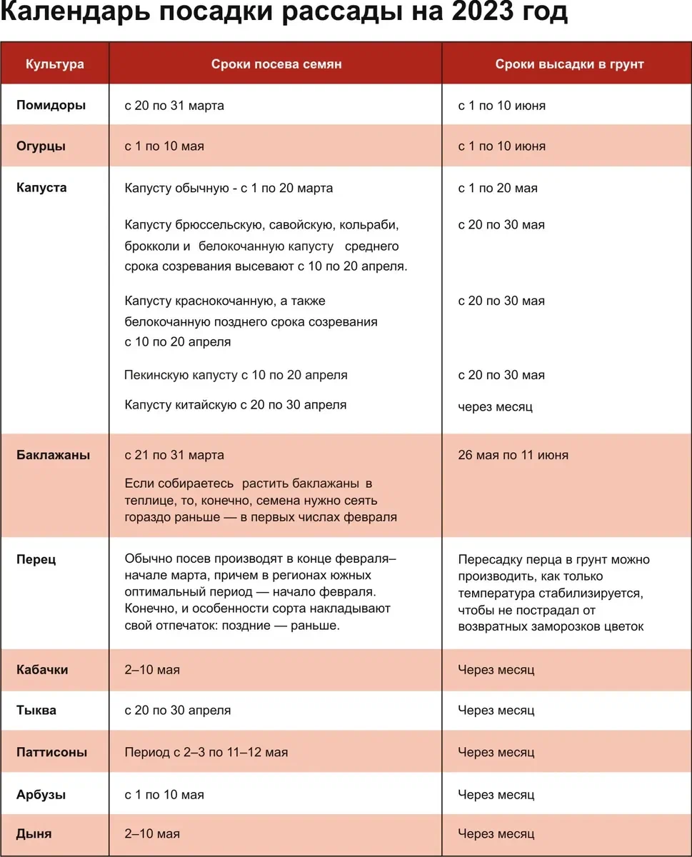 календарь посадки рассады на 2023