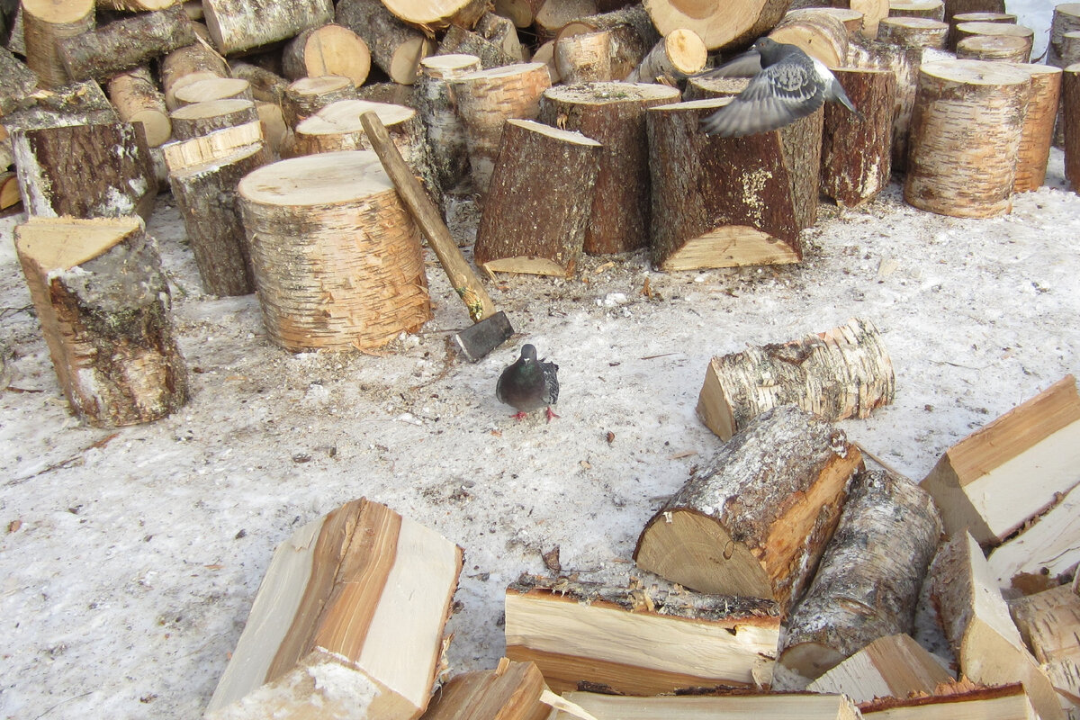 фото Герта Евменеева