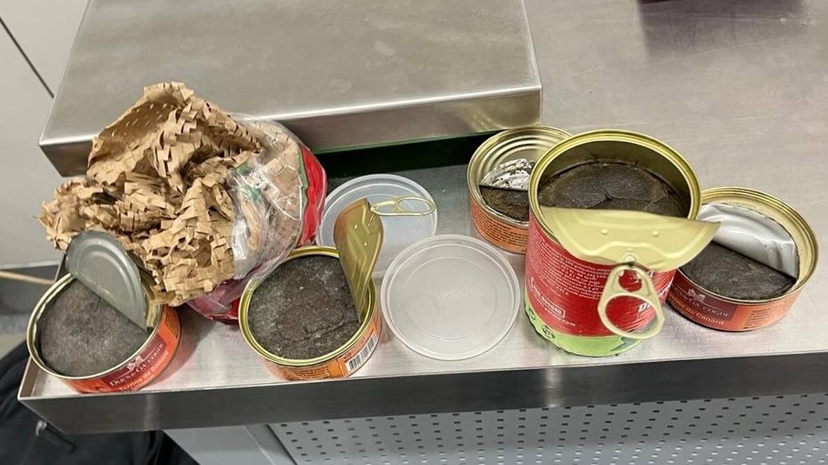    Фото: Пресс-служба шереметьевской таможни