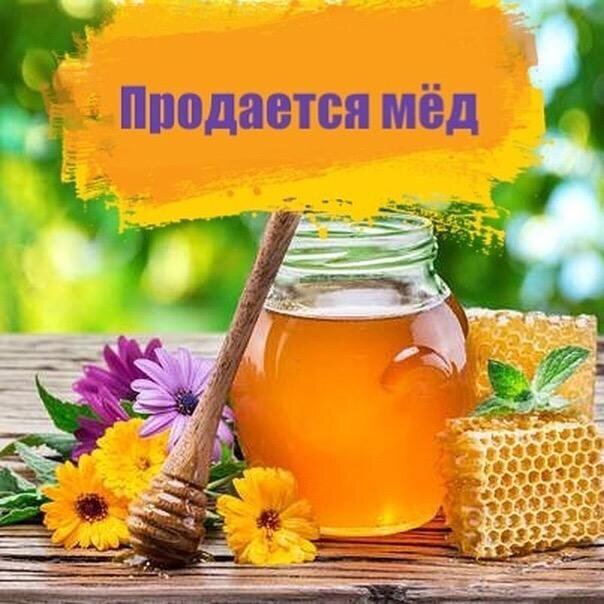 Реклама меда рисунок