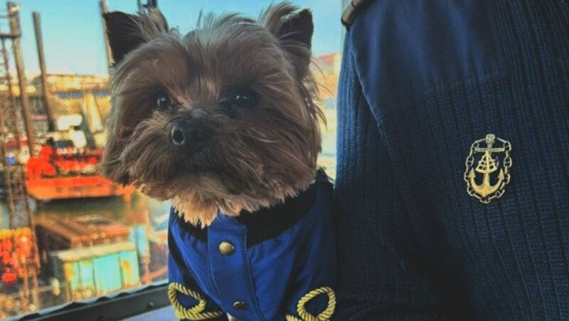 Фото: @chizhikPHOTOGRAPHER Telegram