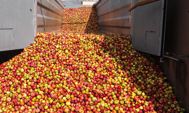 "взято из общего доступа"