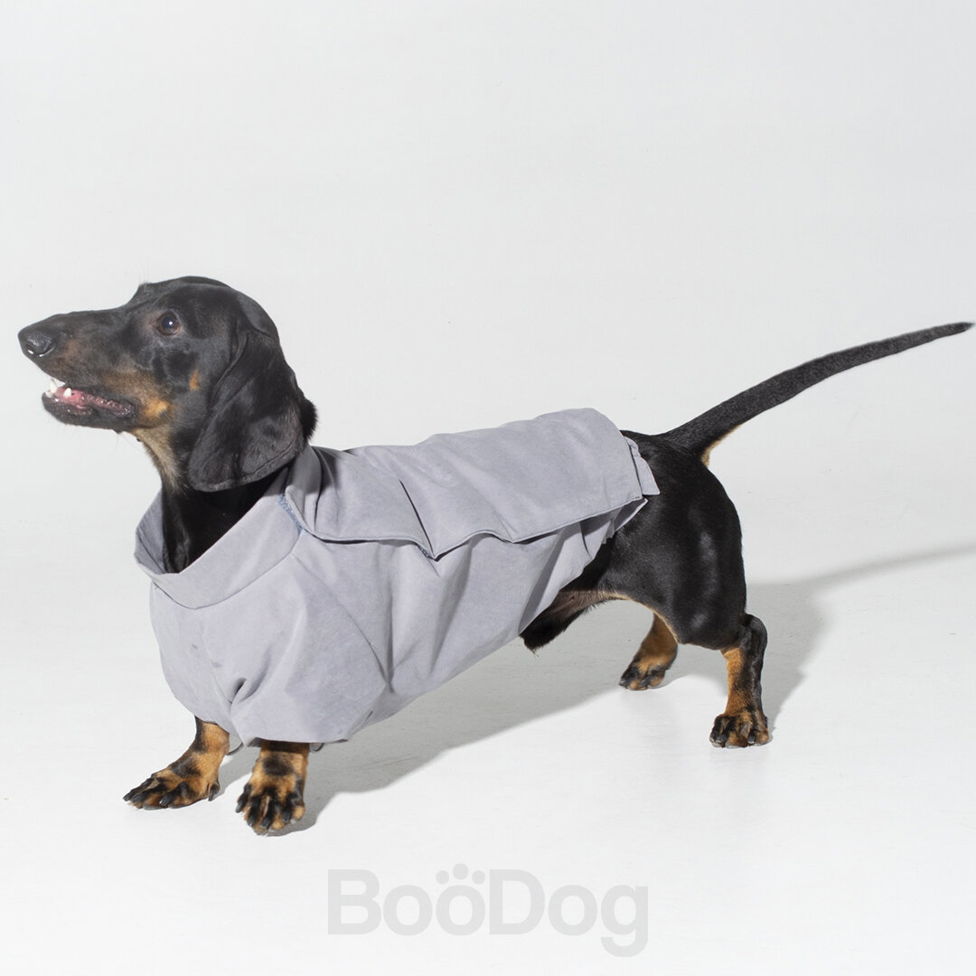 Поэтому застежку было принято перенести вбок на спинку питомца