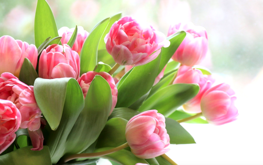 Фото из сети