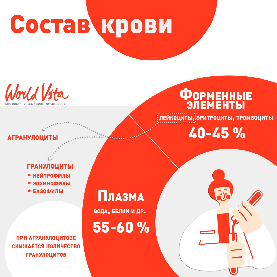 Состав крови человека и роль гранулоцитов