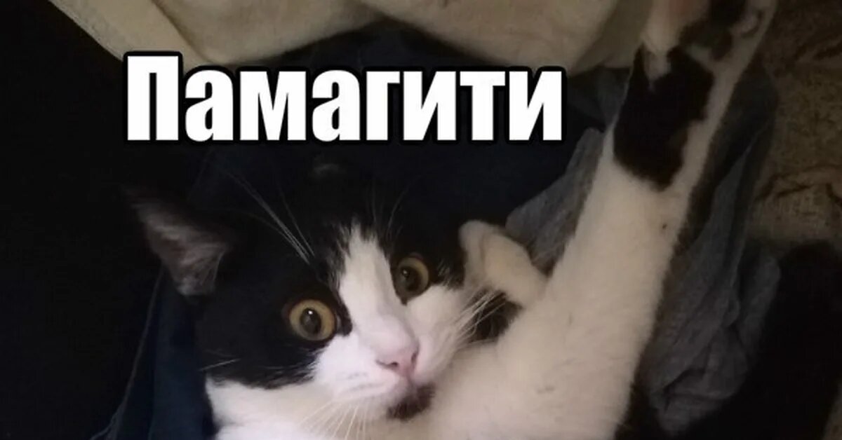Бессмертное.