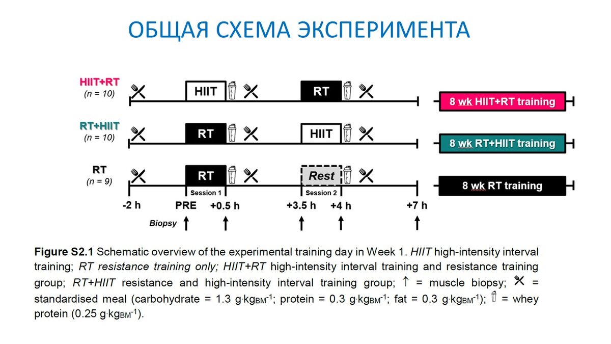 Рисунок 1. Схема организации эксперимента.