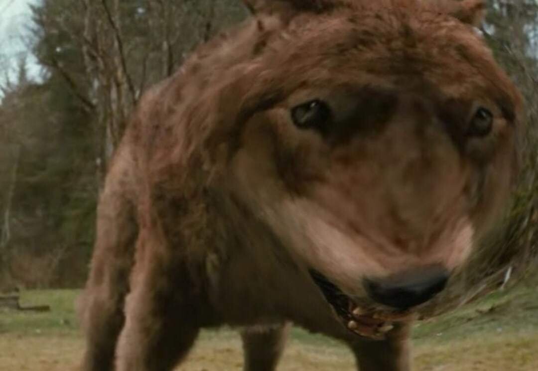 Йооооу ни разу не просроченный мем