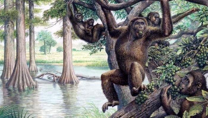 Изображение из открытых источников сети интернет