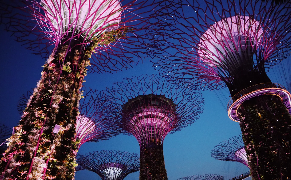 Необыкновенные зрелища. Сингапур провода. Сингапурская абстракция. Singapore Magic. The safest City in the World Singapore Rank 2020