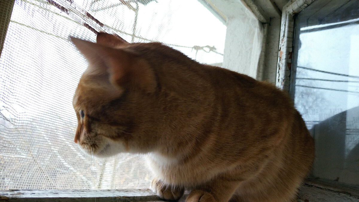 Личное  фото.