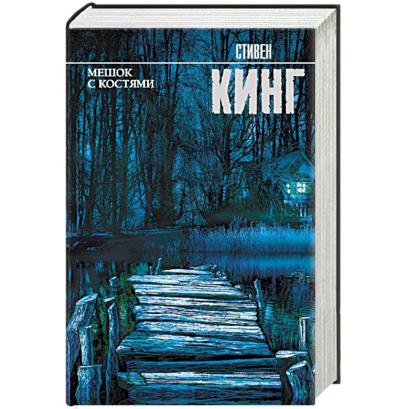 Книга стивена кинга мешок с костями