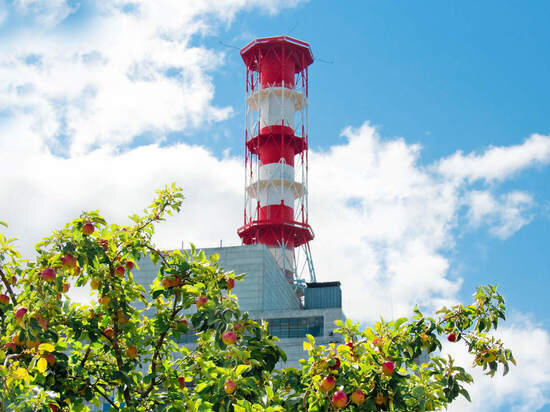     фото: Смоленская АЭС