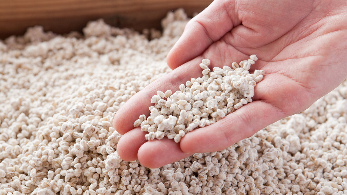 Источник: https://insights.figlobal.com/plant-based/using-koji-create-plant-based-products-people-and-pets