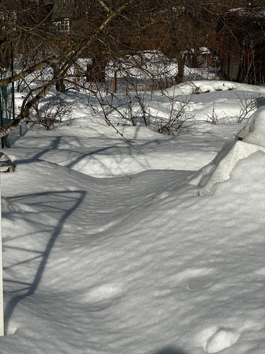 Снегр. Луга зимой. Луга зимой. Заснеженный луг. Зимнее поле.
