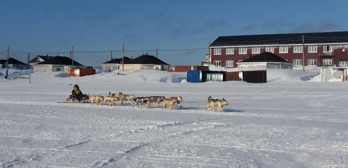 Фото: t.me/uelen_chukotka 