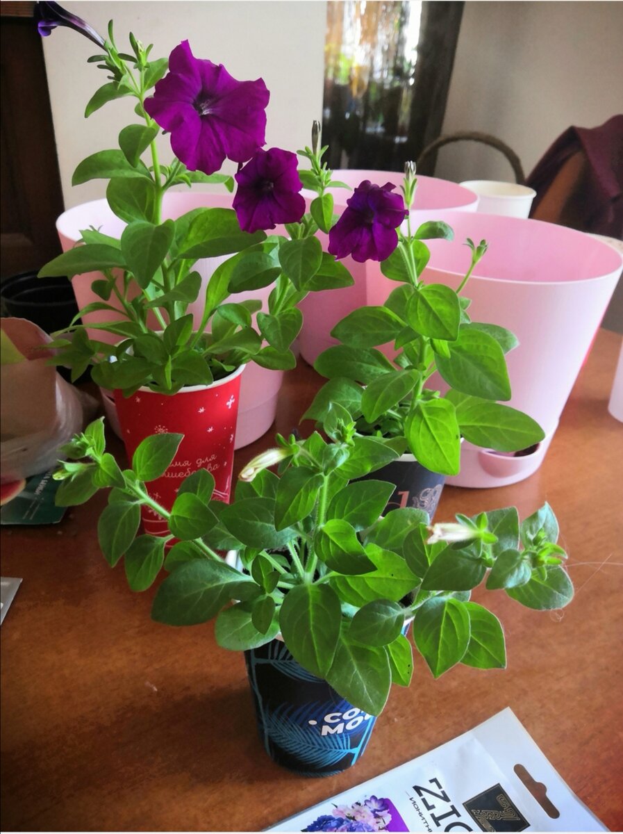 Следим за руками 😛😁