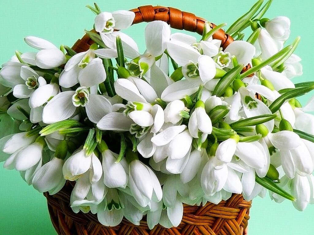 Источник изображения: Яндекс. Картинки