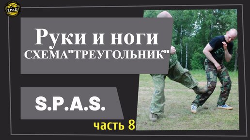 Удары руками и ногами в S.P.A.S. - схема 