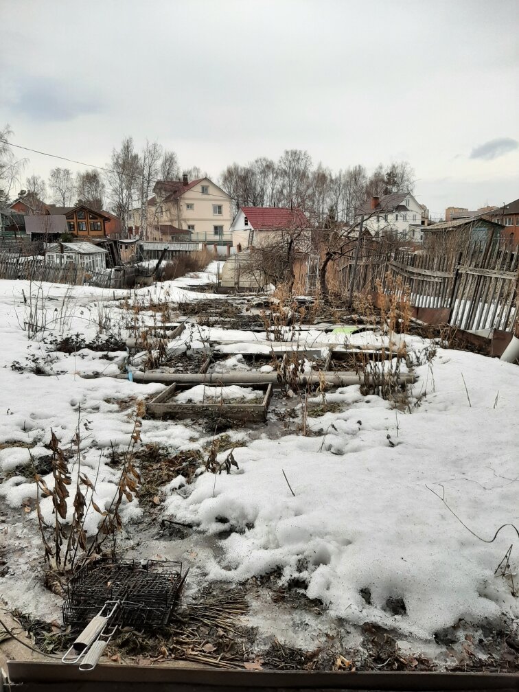 вот такое безобразие на даче сейчас