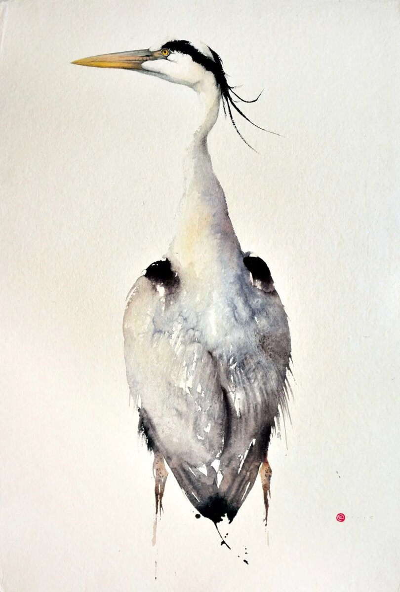 Серая цапля, Grey Heron, художник Карл Мартенс