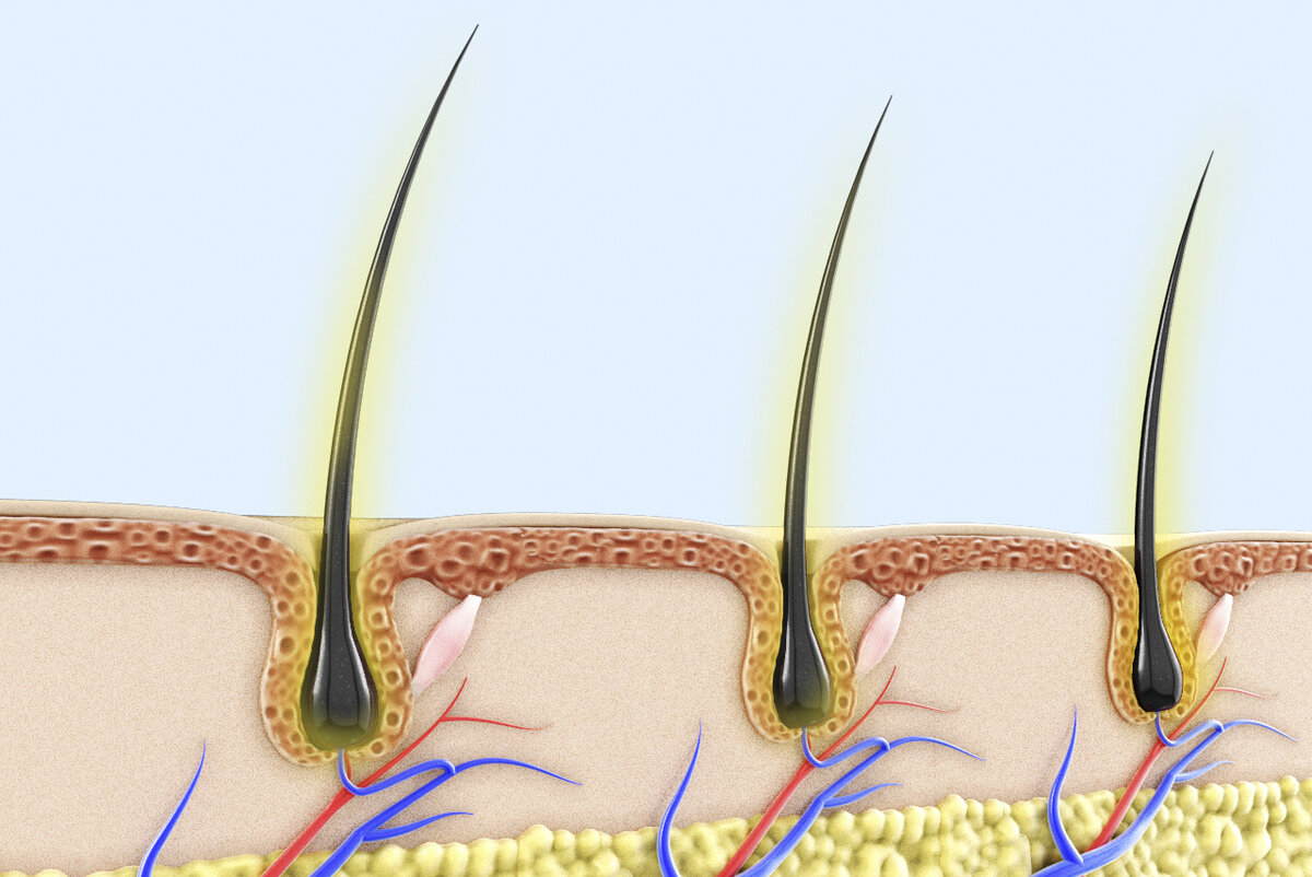 Источник: Яндекс-картинки
