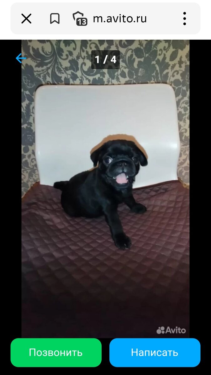 фото из объявления