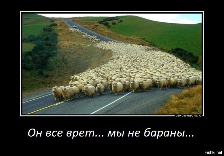 Все идет по плану план идет по кругу