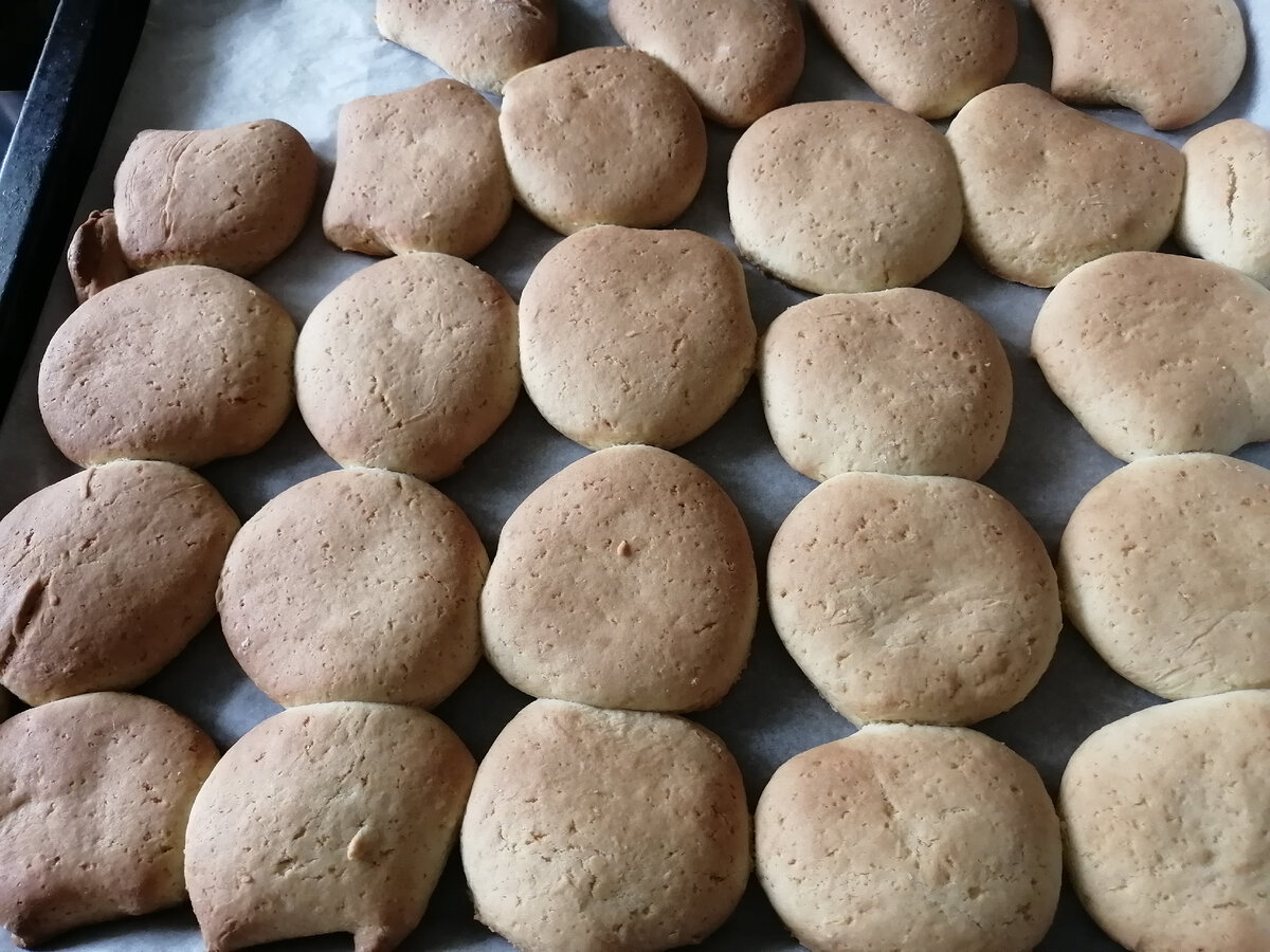 фото автора Валентина. Дневники