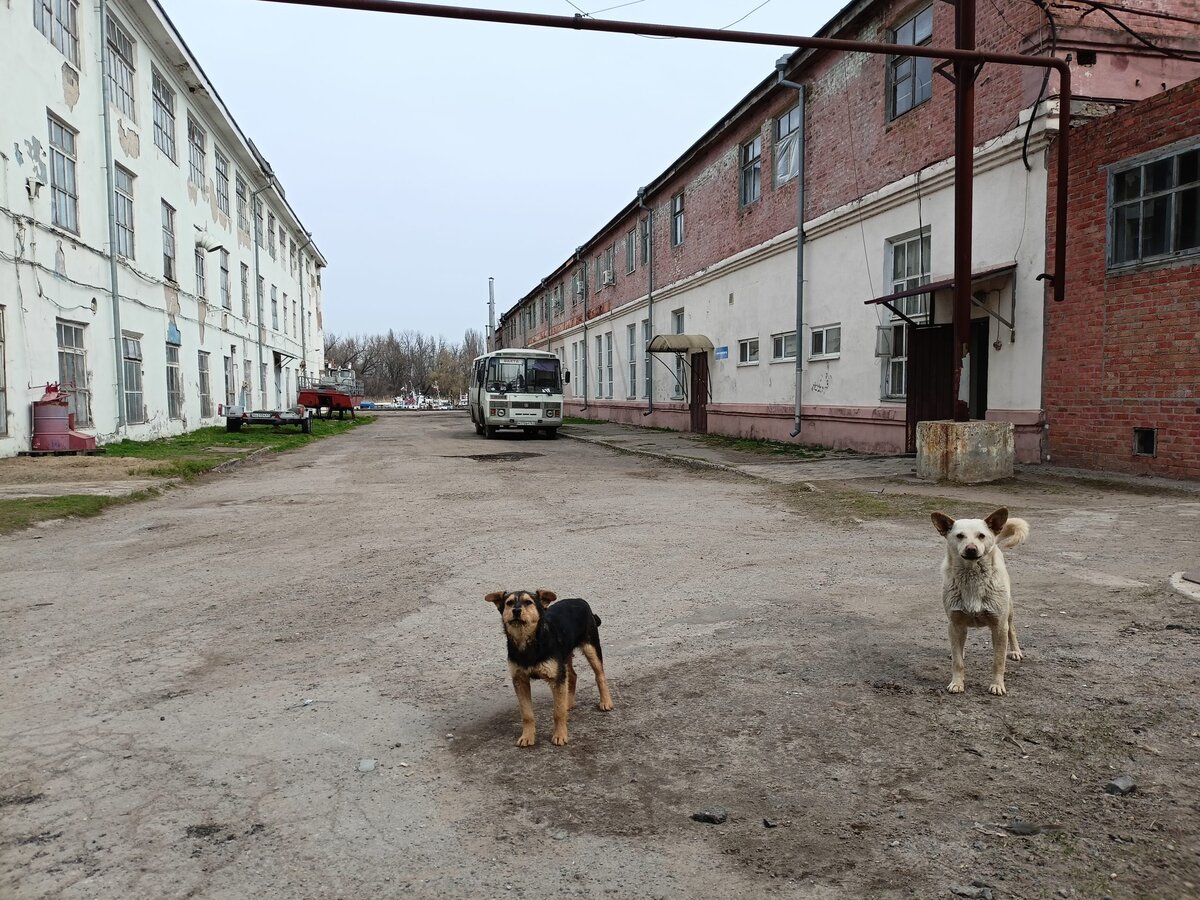 Фото: Светлана Ломакина для ТД