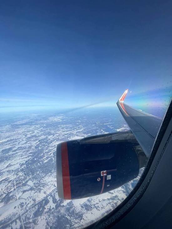     ФОТО: ЯНА МОИСЕЙКО/ ФОТОГРАФ КРАСНОЯРСК