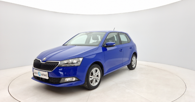Fabia Citigo
