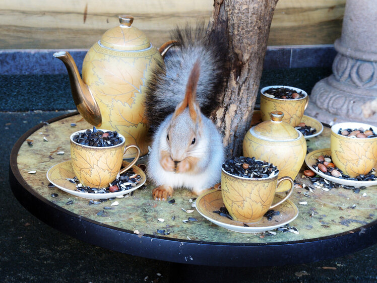     Фото Геннадий Черкасов/Московский комсомолец