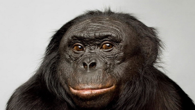 А мы - подумаем - и в Голову - возьмём почешим репу))