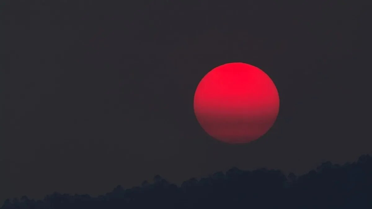 Фото: pexels.com