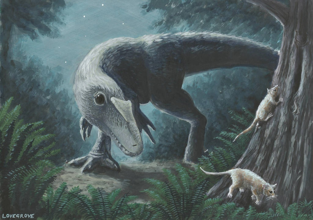 Доисторические котики охотятся на доисторических мышек. Палеонтология прекрасна! 