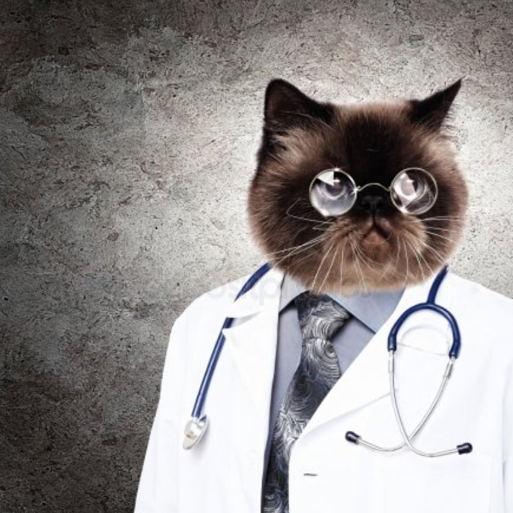 Из открытых источников