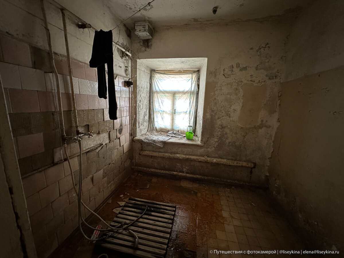 Гуляла по заброшенной усадьбе, увидела открытую дверь и решила ...