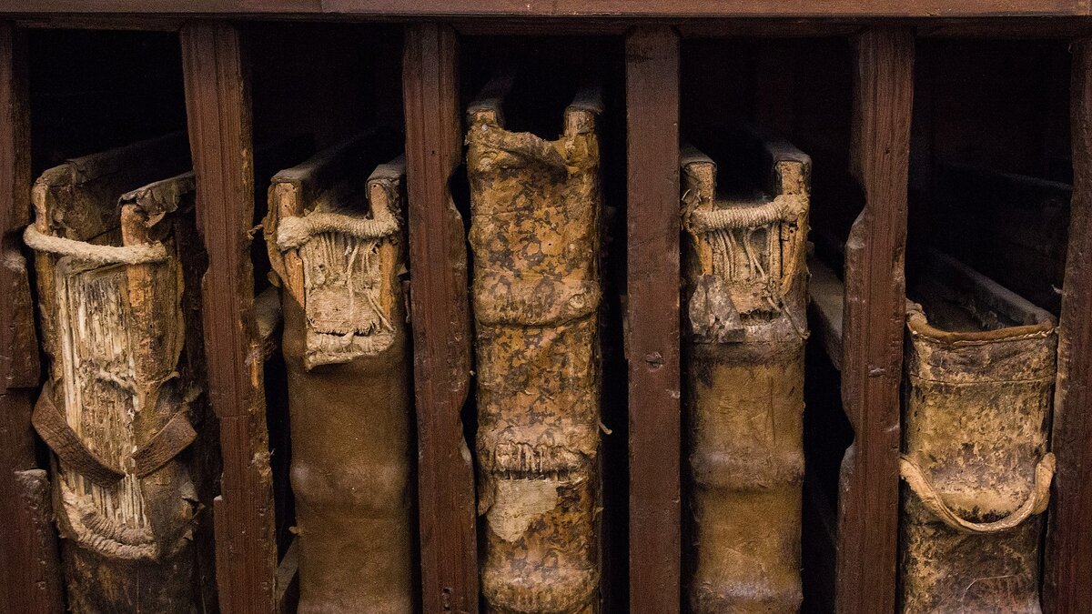 Изображение взято с сайта Википедия.