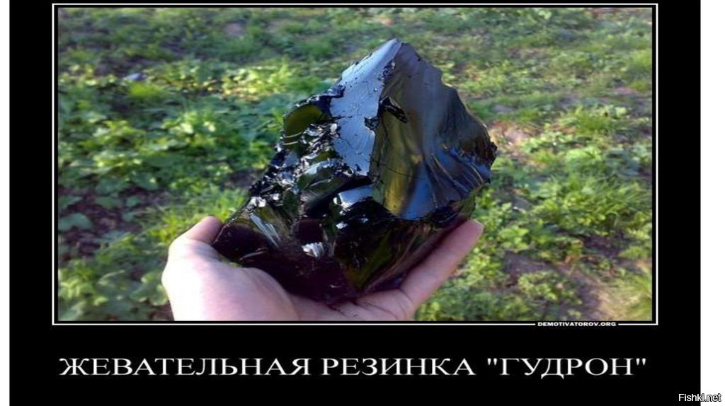 фото из свободного источника.