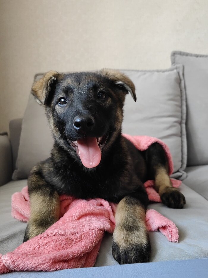 Листайте вправо, чтобы увидеть больше изображений