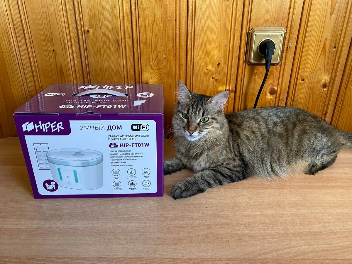 Тэма тоже интересуется, что же здесь такое…..