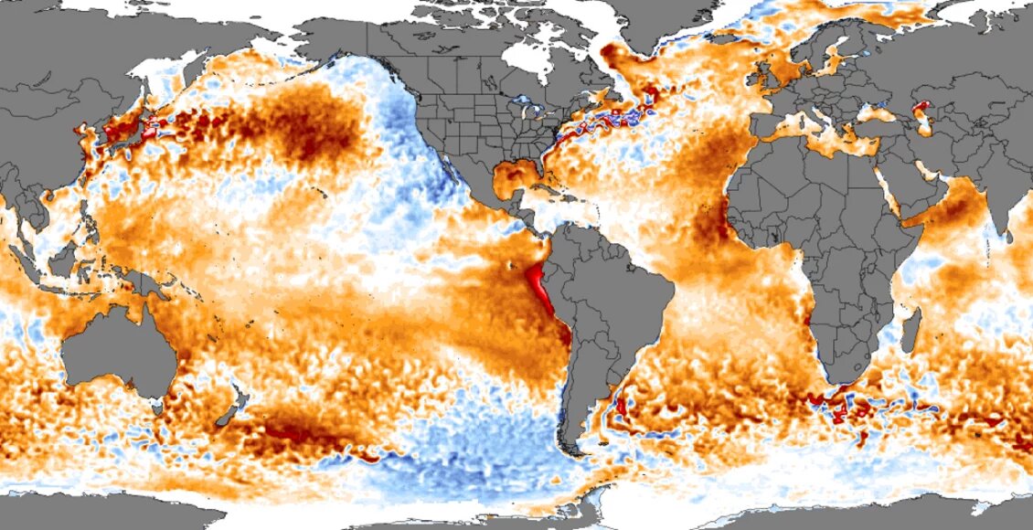    Фото: University Of Maine