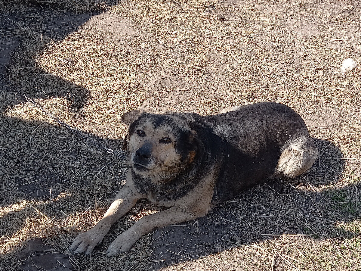 Криста отдыхает на солнышке