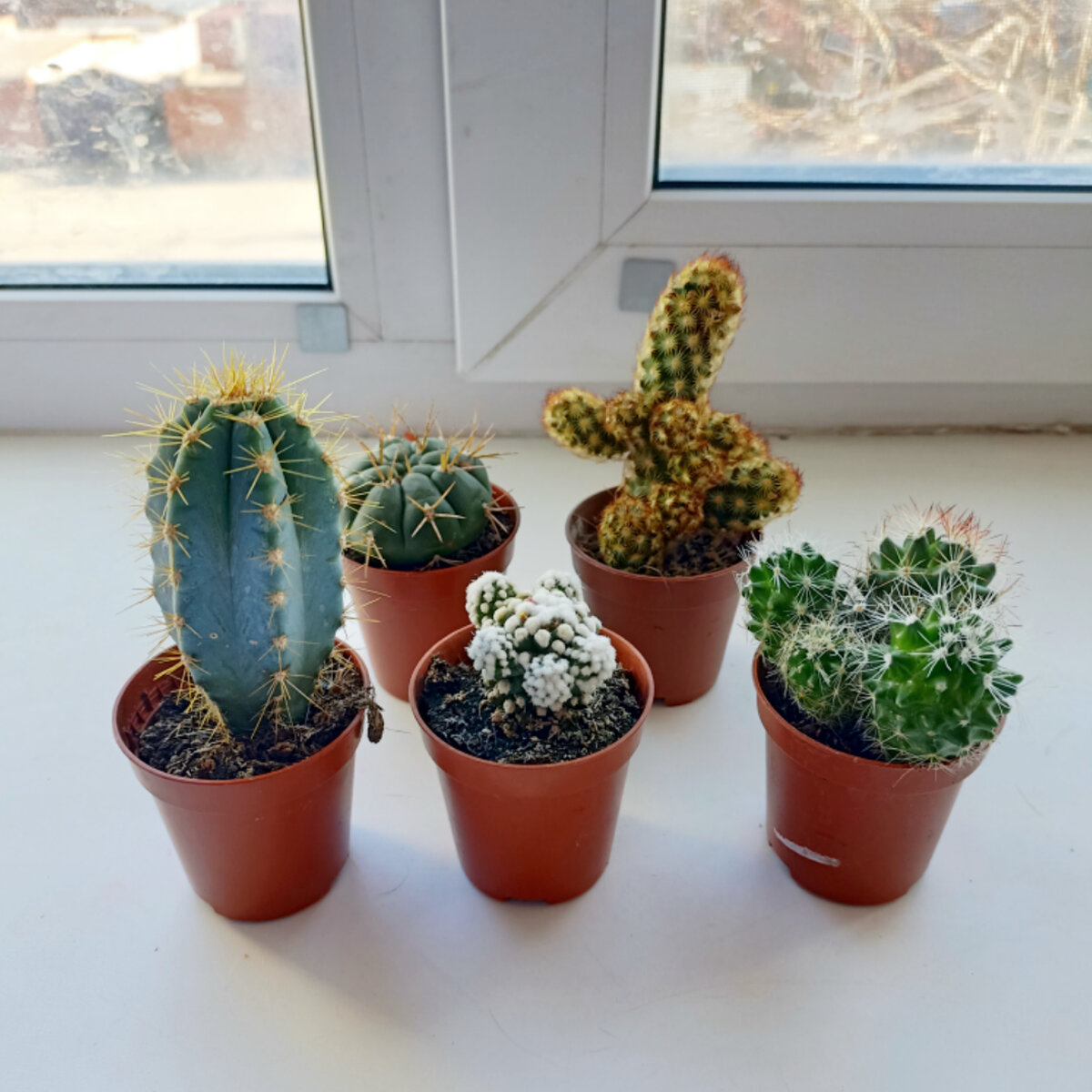 Обкатусили подоконник 😅